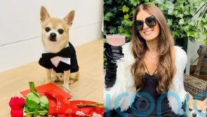 Divorcee who uses her pet chihuahua to vet dates would ditch ‘dream guy’ if dog did not approve