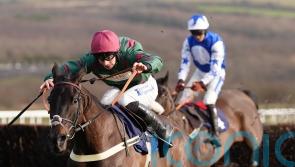 Ben Jones hoping for rain ahead of Grade One challenge for Handstands