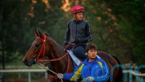 Hong Kong superstar Romantic Warrior gets Meydan sighter in Jebel Hatta
