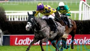 Il Etait Temps looks set to be sidelined for rest of the season