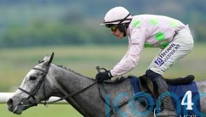 Lossiemouth heading to Leopardstown after swerving Constitution Hill rematch