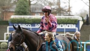 Burke backing Crambo to banish memories of last visit to Cheltenham
