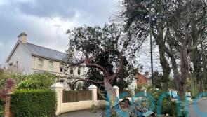 In pictures: Storm Eowyn’s 100mph winds cause disruption and destruction