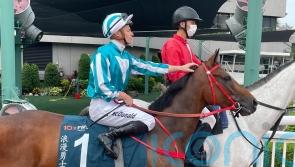 Romantic Warrior posts winning debut in Dubai