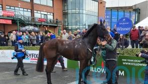 All eyes on Anzadam at Naas on Sunday
