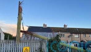 Thousands remain without power in Northern Ireland following Storm Eowyn