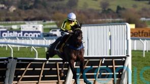 East India Dock delivers again in Triumph Trial at Cheltenham