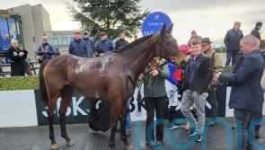 Aurora Vega continues on the right path at Fairyhouse