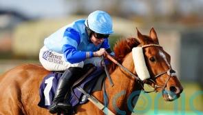 Docpickedme gives Richard Hobson and Charlie Maggs another big day