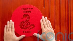 Chinese New Year: What does the Year of the Snake mean for your finances this year