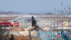South Korean plane crash report says bird remains found in engines