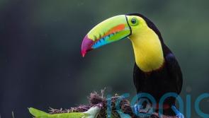 How I learned the secret to long life in Costa Rica’s ‘Blue Zone’