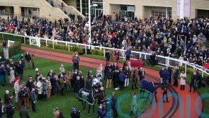 Savill: Trainers not seeking to benefit personally from interview payments