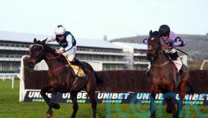 Stage Star bound for Aintree after fine Cheltenham run