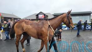 Back-in-action Maughreen makes no mistake on jumping bow