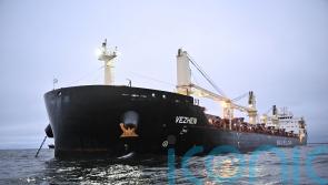 Bulgarian shipping company denies vessel sabotaged Baltic Sea cable