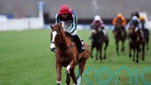 Windbeneathmywings ‘ticking over’ with Cheltenham on the horizon