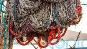 MP calls for ban on ‘bottom trawling’ of seabeds in marine protected areas