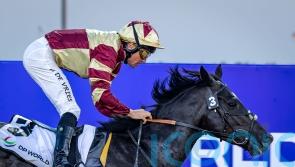 Heart Of Honor expected to enjoy UAE Derby distance