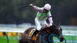 Royale Pagaille handed Haydock redemption mission