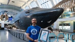 Man sets world record for most museums visited in 24 hours