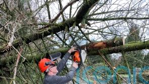 Community rallies round to support elderly and vulnerable cut off by Storm Eowyn