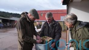 Prince of Wales praises regenerative farm’s ‘fantastic’ composting efforts