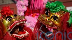 Year of the Snake under way amid Lunar New Year festivities
