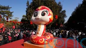 In pictures: Lunar New Year celebrations across the world