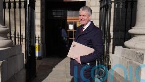 Sinn Fein TD granted permission to take legal action against Government