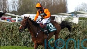 Noble Yeats getting plenty of ‘TLC’ but racing future very much up in the air
