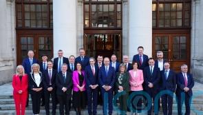 Two Longford-Westmeath TDs have been appointed as junior ministers