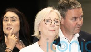 Two Irish MEPs appointed as deputies of EU committee on housing crisis