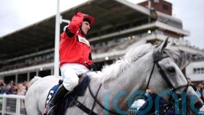 Skelton happy to have likes of Grey Dawning on his side in David Power Jockeys’ Cup race