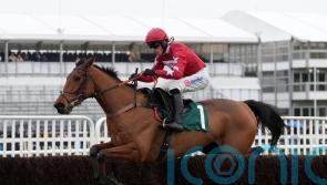Nicholls hoping Scilly Isles will point the way for Kalif Du Berlais