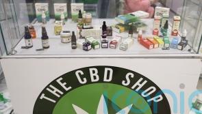 Medicinal cannabis sector could boost incomes of British farmers, Tory MP says