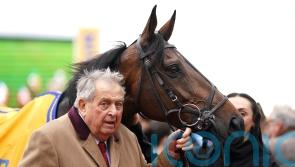 Five star performers for owner John Hales