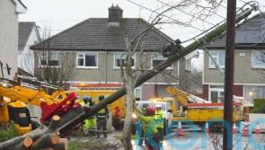 ‘Ireland needs to be more resilient to storms’ as 74,000 remain without power