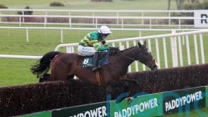 Majborough bolts up in Irish Arkle to send message to Sir Gino