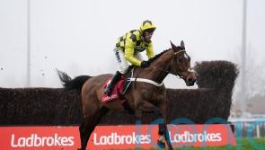 Henderson sets sights on familiar Newbury target for Sir Gino