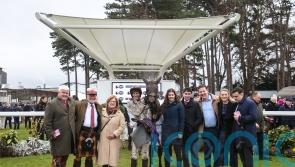 Vischio records special success for Emmet and Danny Mullins