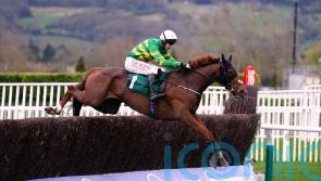 Corbetts Cross camp keeping Gold Cup prep options open