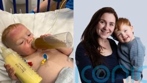 ‘Cancer isn’t all about chemo’ – Mother says gut-friendly recipes helped improve son’s survival chances from 13% to 97%