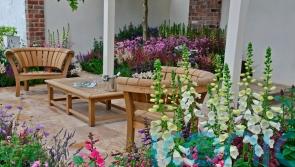 Easy design tips to help you create a beautiful garden