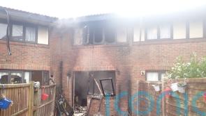 Two dogs killed and two homes destroyed in separate e-bike and e-scooter fires