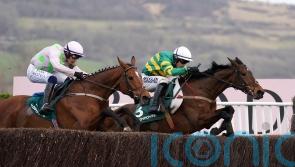 Impervious not out of Cheltenham reckoning just yet