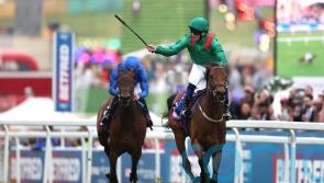 Tributes pour in for the Aga Khan, breeder of ‘almost perfect equine athletes’