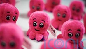 Octopus Energy profits fall amid surge in customers and renewables investment
