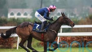 Kopek Des Bordes earns high praise for Leopardstown win