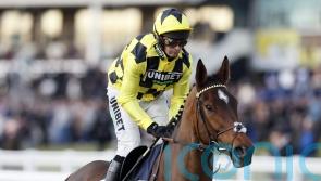 Five set to take Sir Gino on at Newbury on Saturday